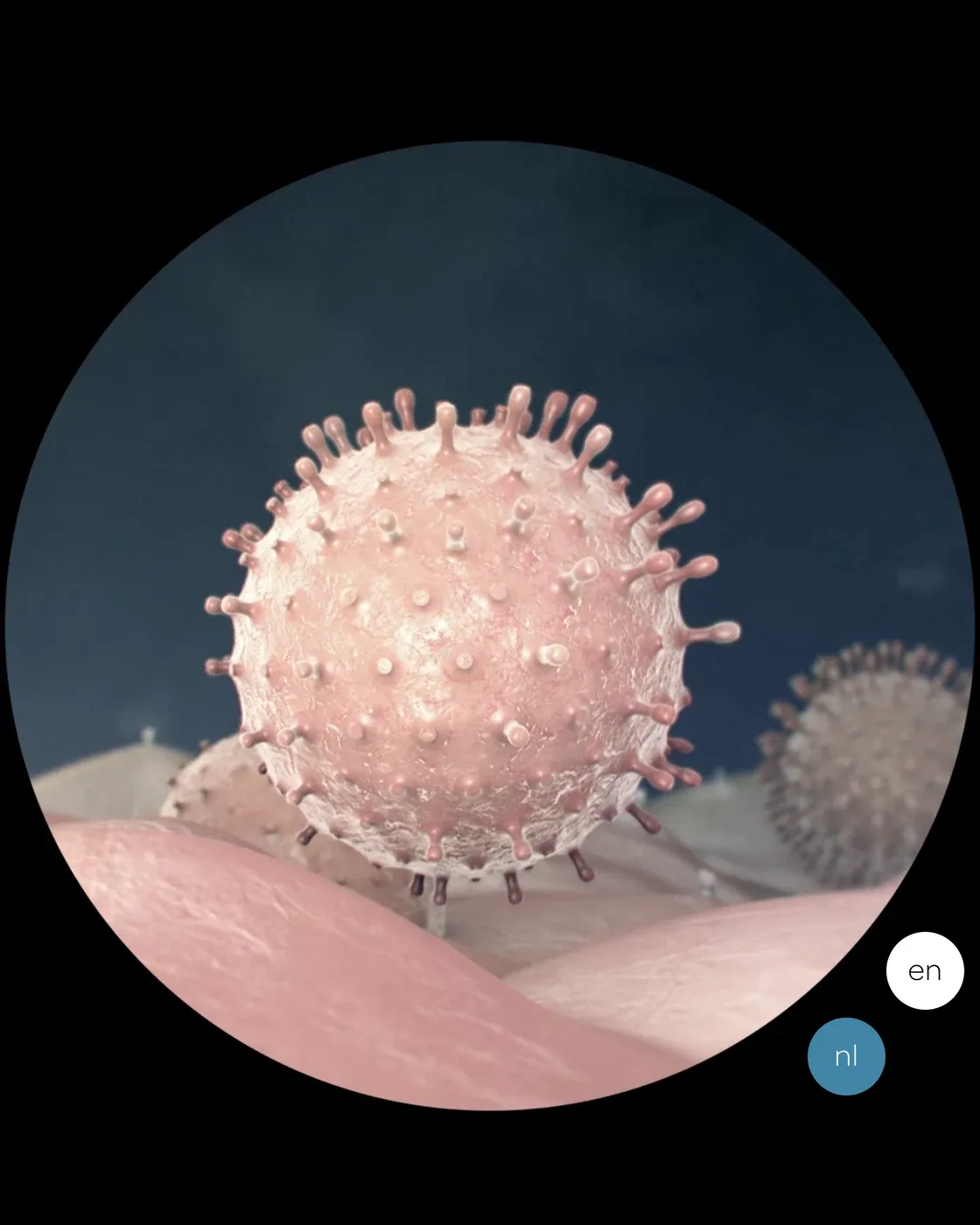 Microsex application playing a circular microscopic animation with Dutch and English language controls.