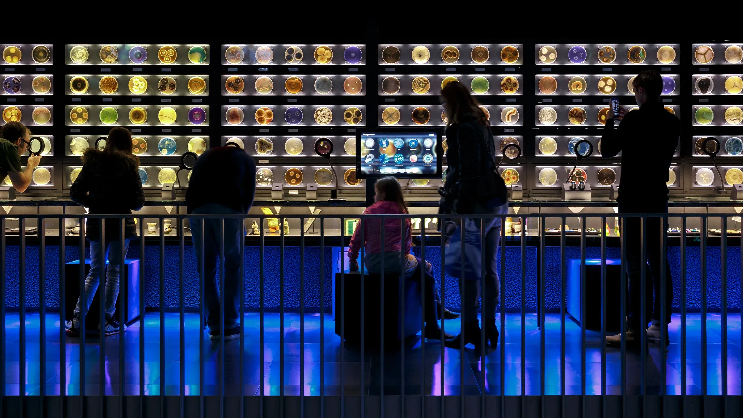 Visitors explore the Roommates touchscreen beside Micropia’s illuminated petri-dish wall.