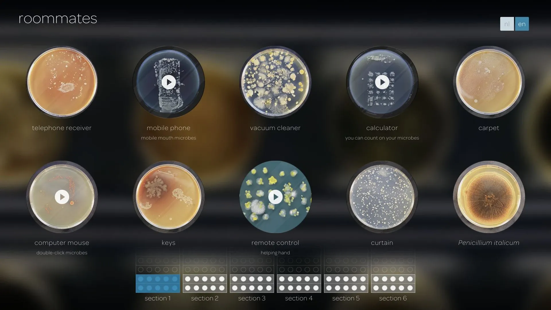 Roommates application overview showing two rows of petri dishes, everyday object labels, language controls, and section navigation.