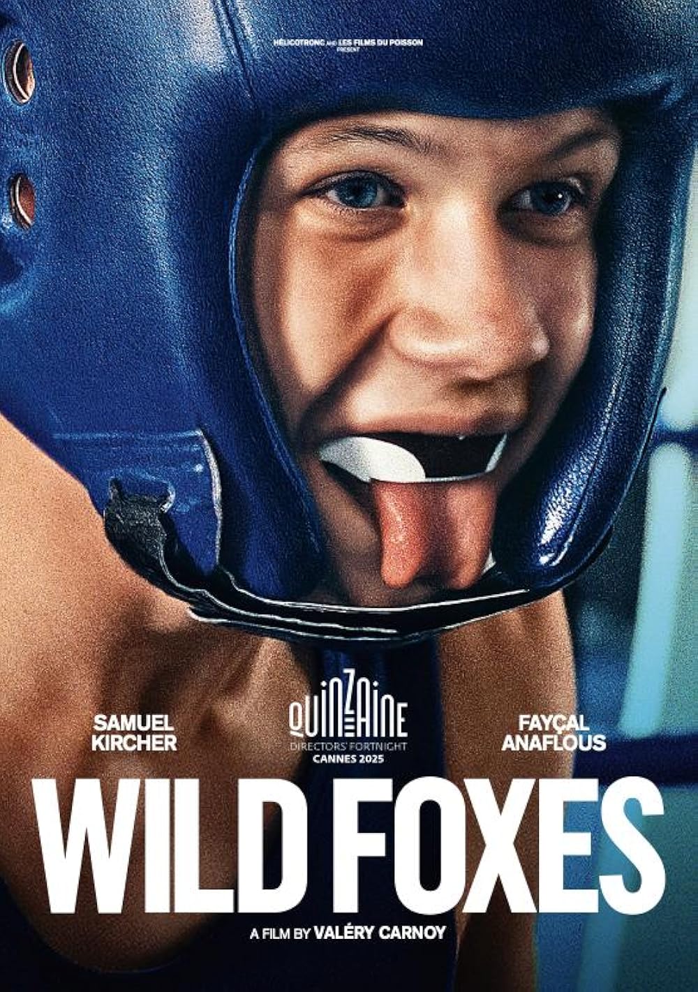 Wild Foxes Filmplakat
